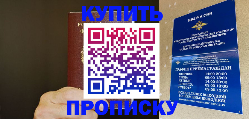 прописка поиск в Шелехове